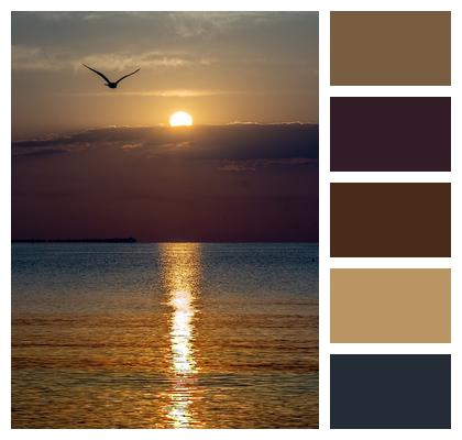 Sea Sunrise Black Sea Image